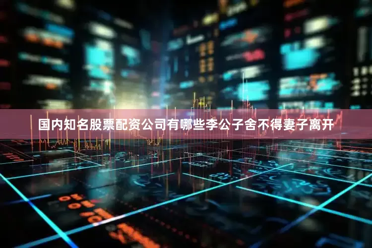 国内知名股票配资公司有哪些李公子舍不得妻子离开