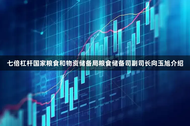 七倍杠杆国家粮食和物资储备局粮食储备司副司长向玉旭介绍