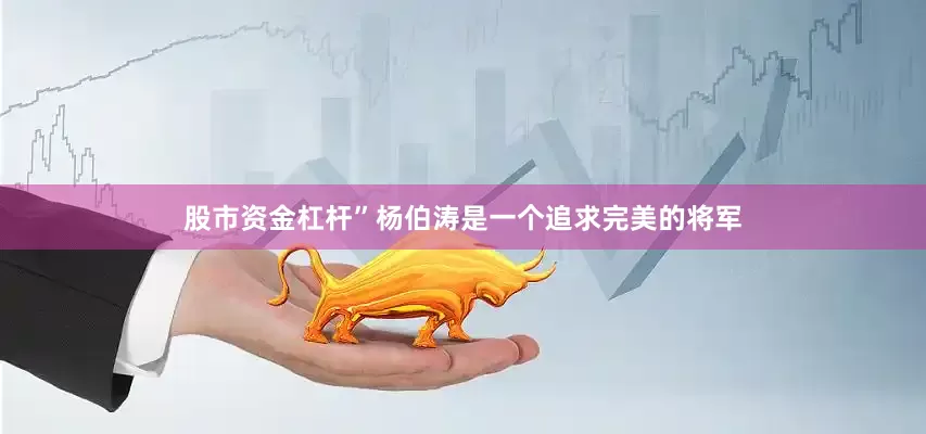 股市资金杠杆”杨伯涛是一个追求完美的将军