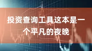 投资查询工具这本是一个平凡的夜晚